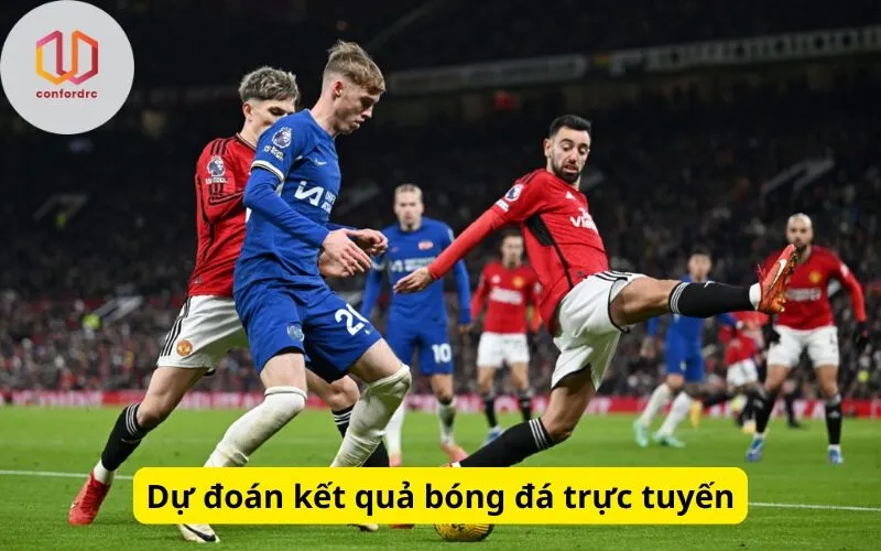 Dự đoán kết quả bóng đá trực tuyến