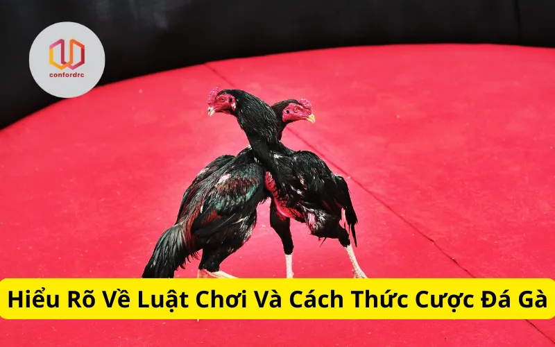 Hiểu Rõ Về Luật Chơi Và Cách Thức Cược