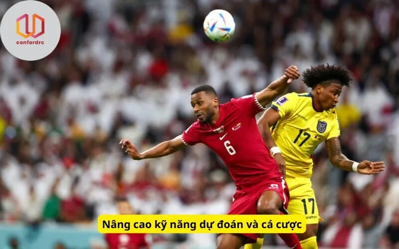 Nâng cao kỹ năng dự đoán và cá cược