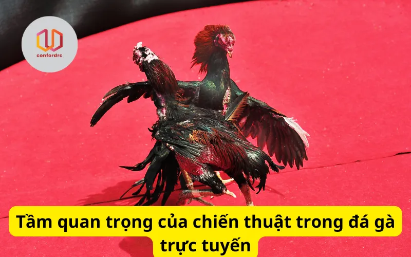 Tầm quan trọng của chiến thuật trong đá gà trực tuyến