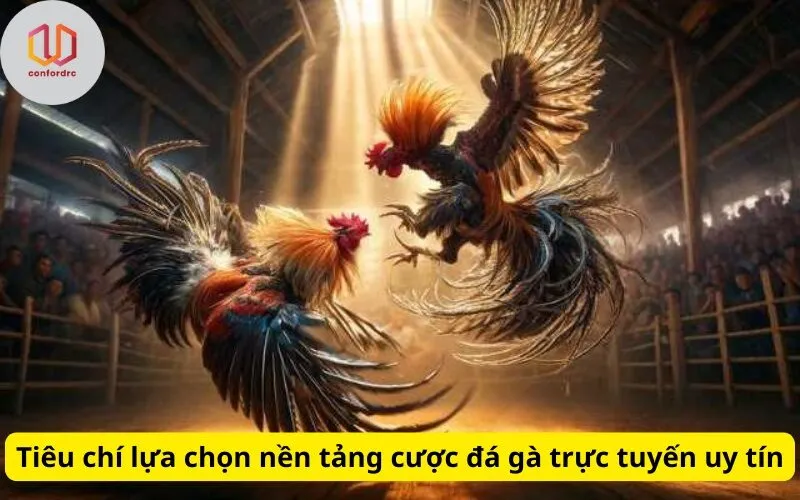 Tiêu chí lựa chọn nền tảng cược đá gà trực tuyến uy tín