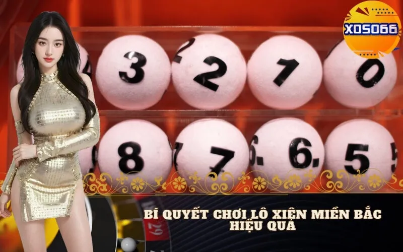 Bí Quyết Chơi Lô Xiên Miền Bắc Hiệu Quả