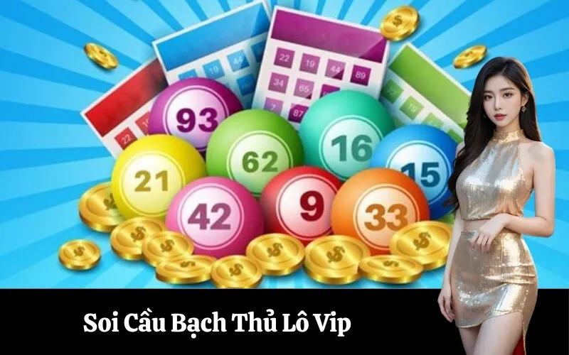 Soi Cầu Bạch Thủ Lô Vip