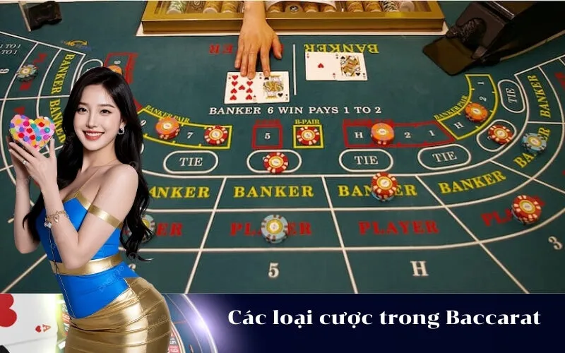 Các loại cược trong Baccarat