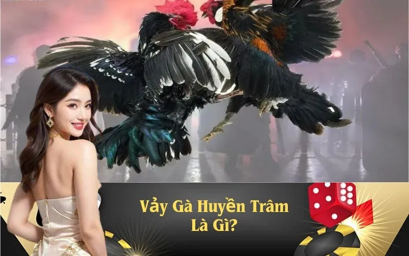 Vảy Gà Huyền Trâm Là Gì