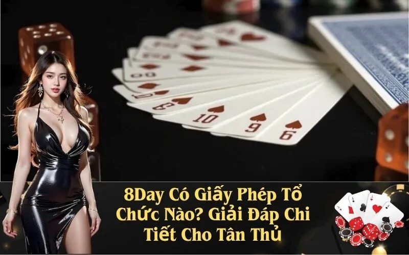 8Day Có Giấy Phép Tổ Chức Nào? Giải Đáp Chi Tiết Cho Tân Thủ
