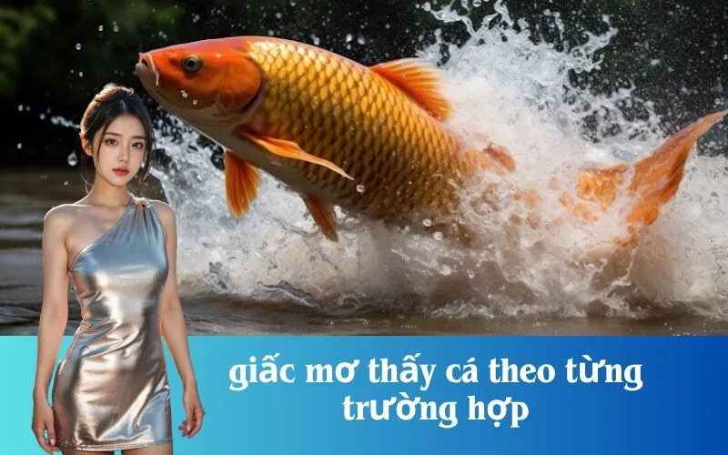 giấc mơ thấy cá theo từng trường hợp