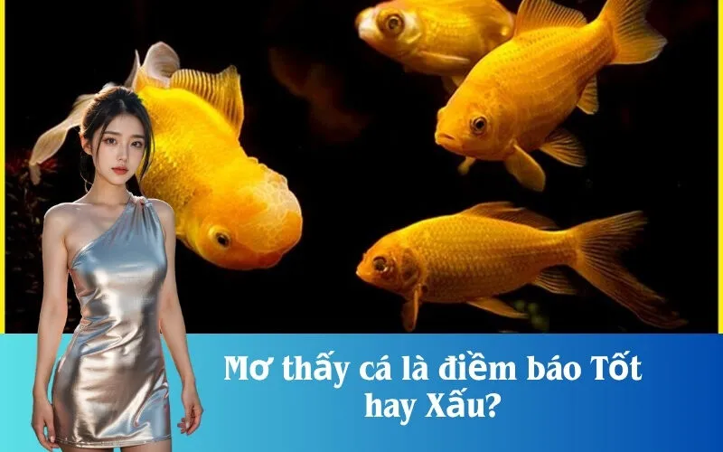 Mơ thấy cá là điềm báo Tốt hay Xấu?