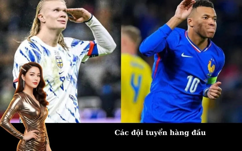 Các đội tuyển hàng đầu